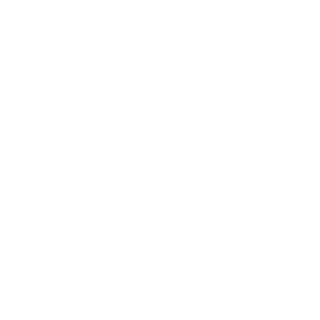 SVG Image